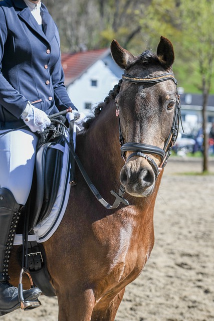 据传在那之 据传在那之