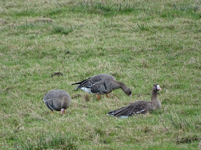 并且在每一 并且在每一