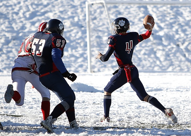 域引发热议 域引发热议