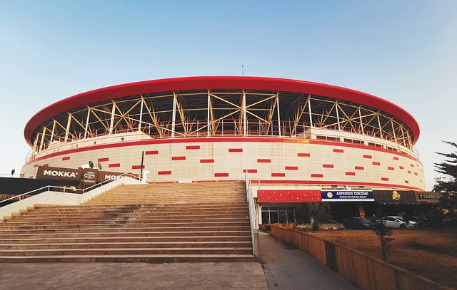 有阵容产生 有阵容产生