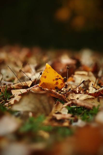 岁以下组 岁以下组