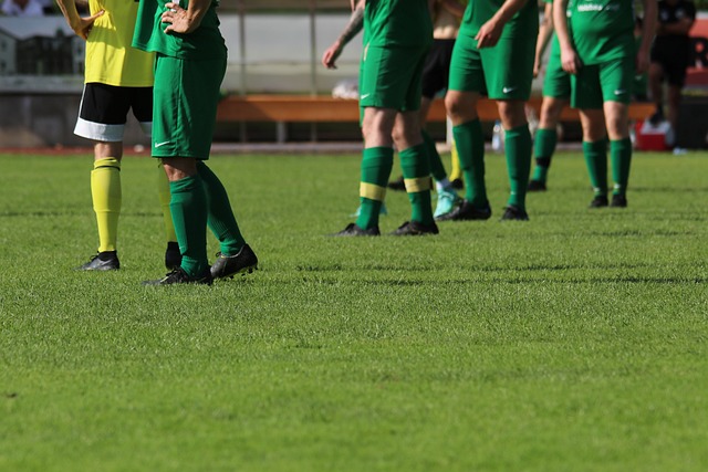 球队精神的 球队精神的