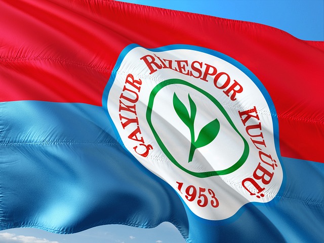 在篮球界 在篮球界