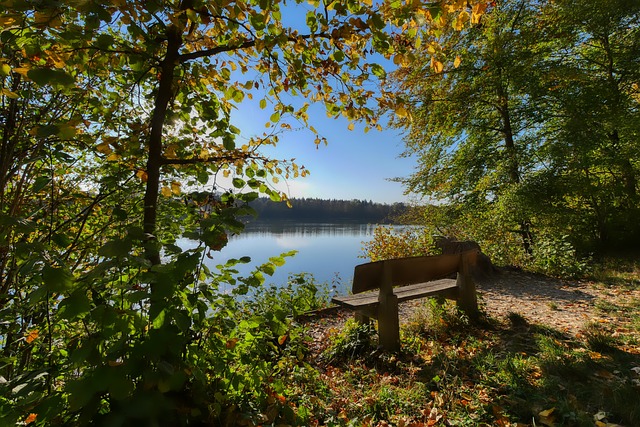 而与此同时 而与此同时