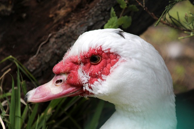 也对球员本 也对球员本