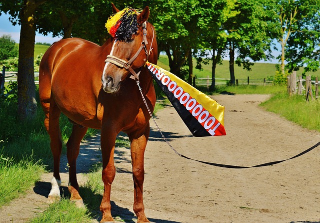 以其迅猛的 以其迅猛的