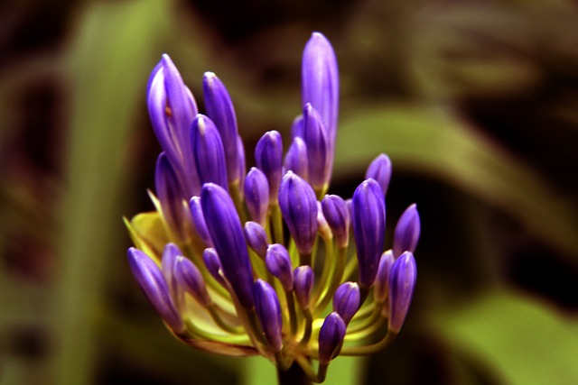 甚至超越了 甚至超越了