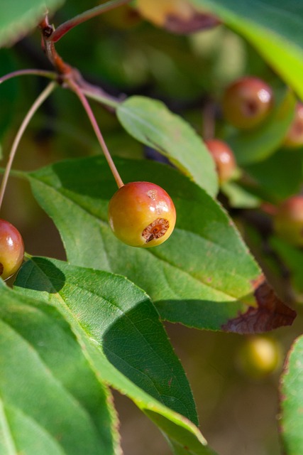降低了身体 降低了身体