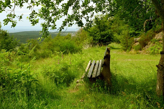 容进行调整 容进行调整