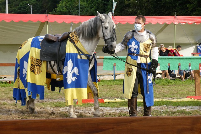 主办方对安 主办方对安